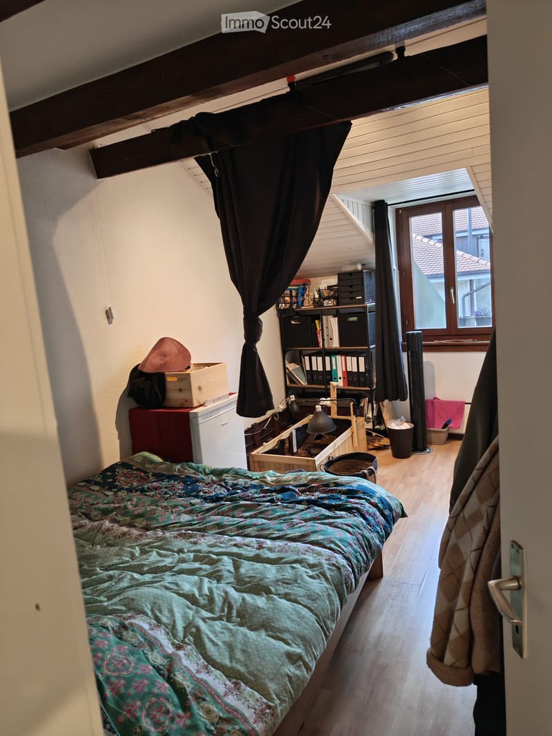 Appartamento con 2.5 locali e charme romantico (5)