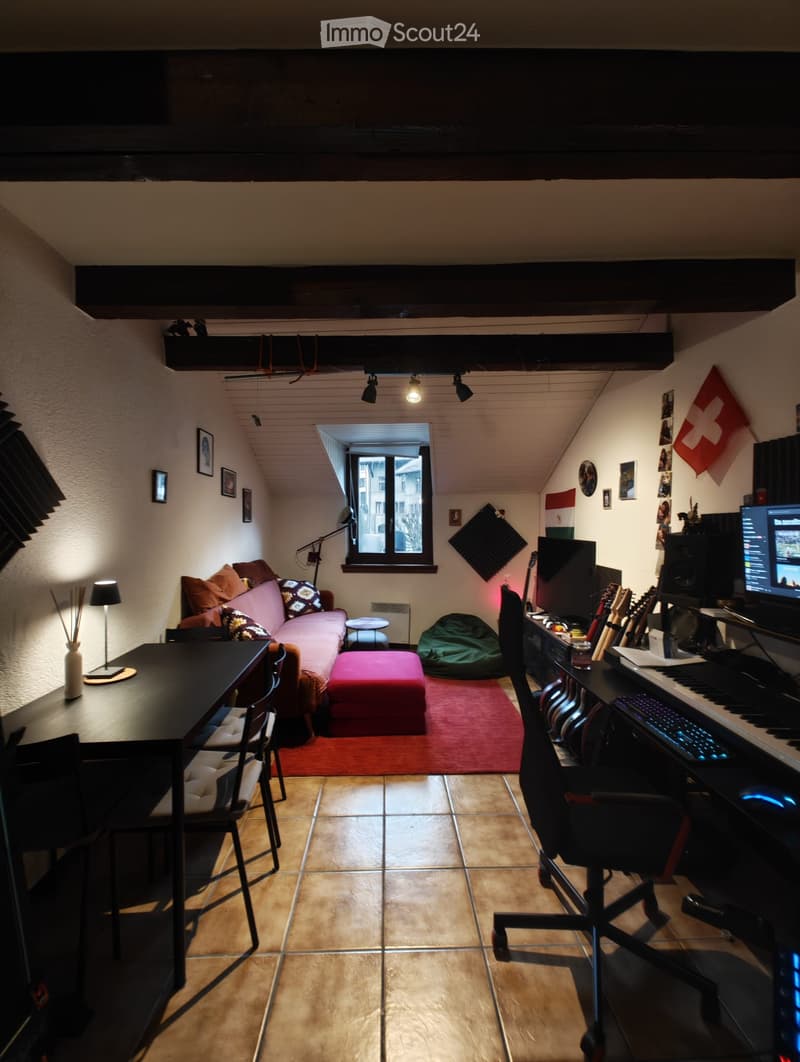 Appartamento con 2.5 locali e charme romantico (3)