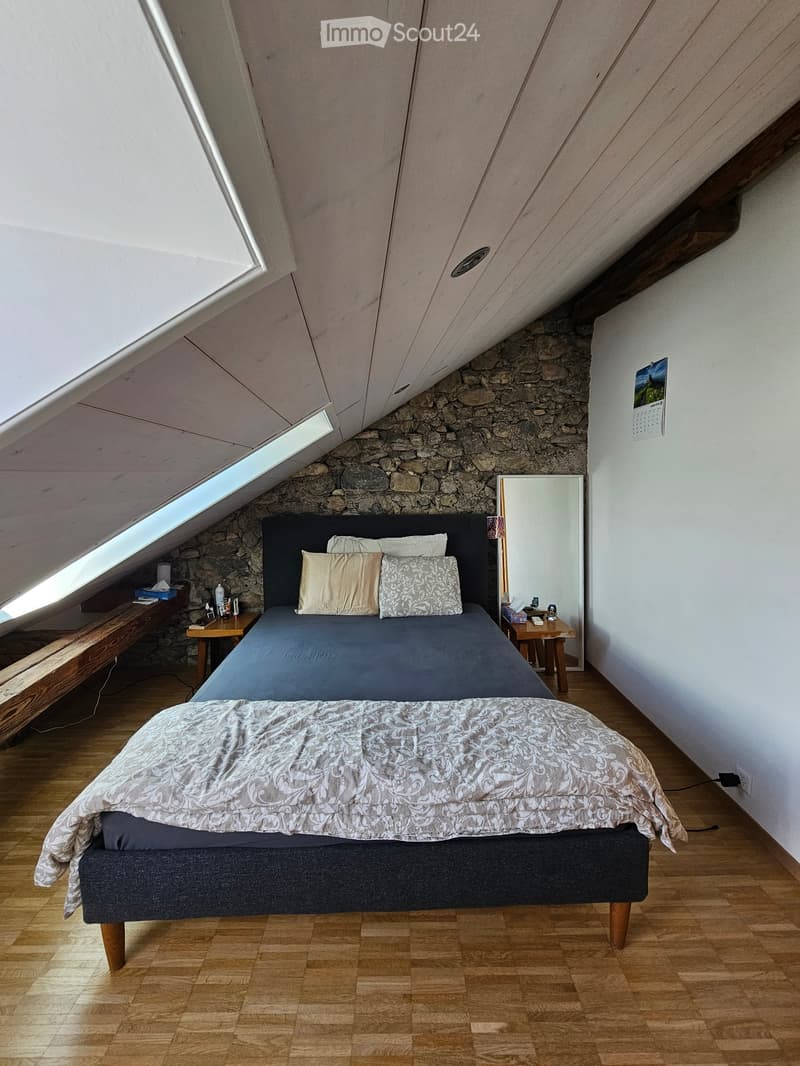 Schönes Apartment zur Miete in Ollon (3)