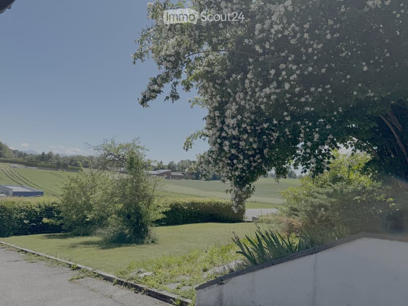 Einfamilienhaus mit privatem Garten - 2600/Monat (13)
