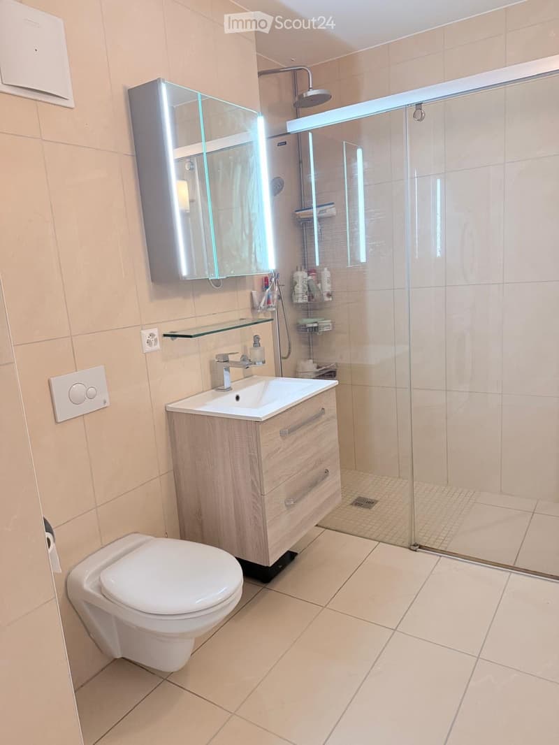 Appartement zur Miete in Sion (4)