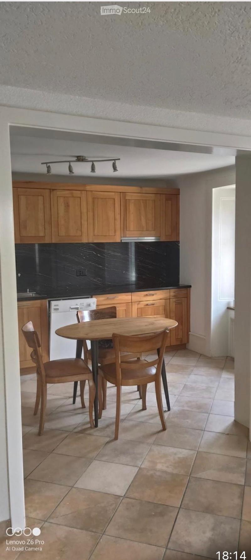 3,5 pièces de 104 m2 atypique avec grande terrasse (5)