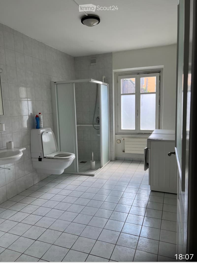 3,5 pièces de 104 m2 atypique avec grande terrasse (3)