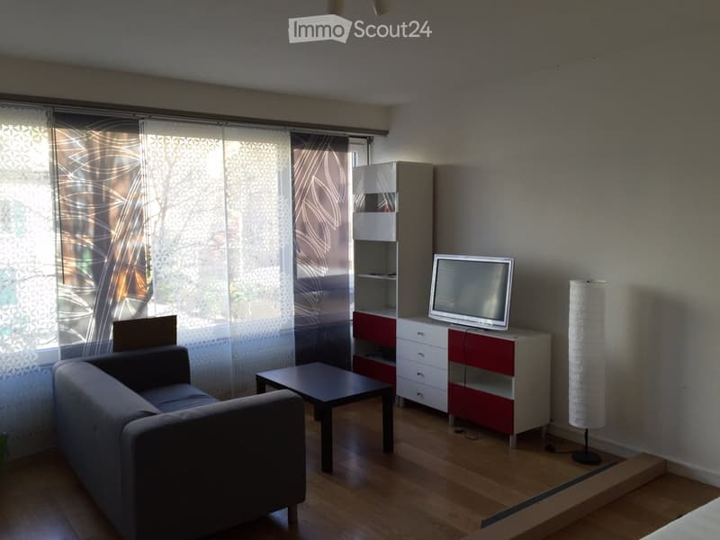 1,5 locali arredati 39m2 - Quartiere "Les Delices" (1)