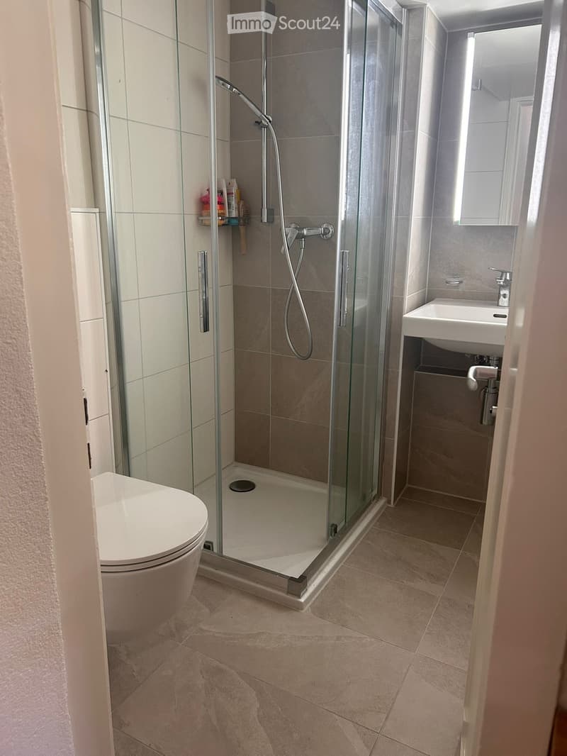 Studio luminoso ristrutturato di 19 m², disponibile immediatamente (4)