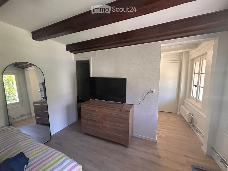 Studio luminoso ristrutturato di 19 m², disponibile immediatamente (1)