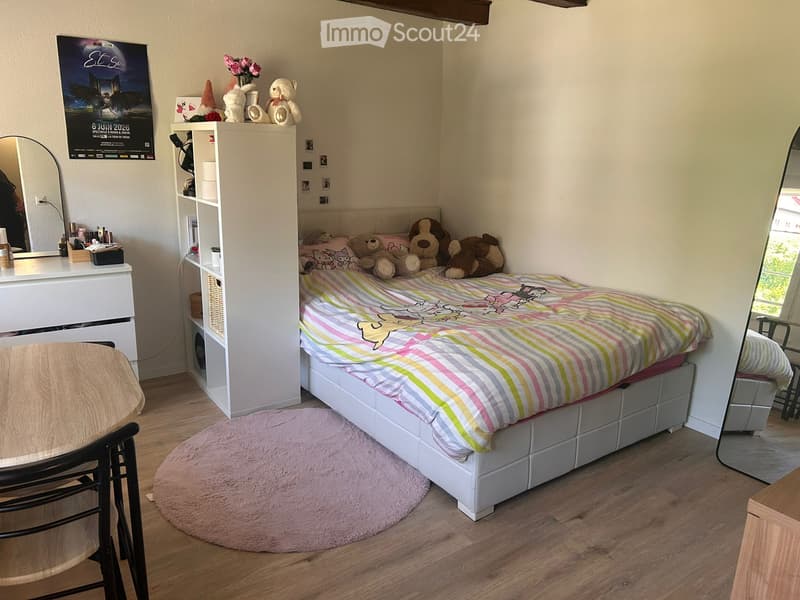 Studio luminoso ristrutturato di 19 m², disponibile immediatamente (3)