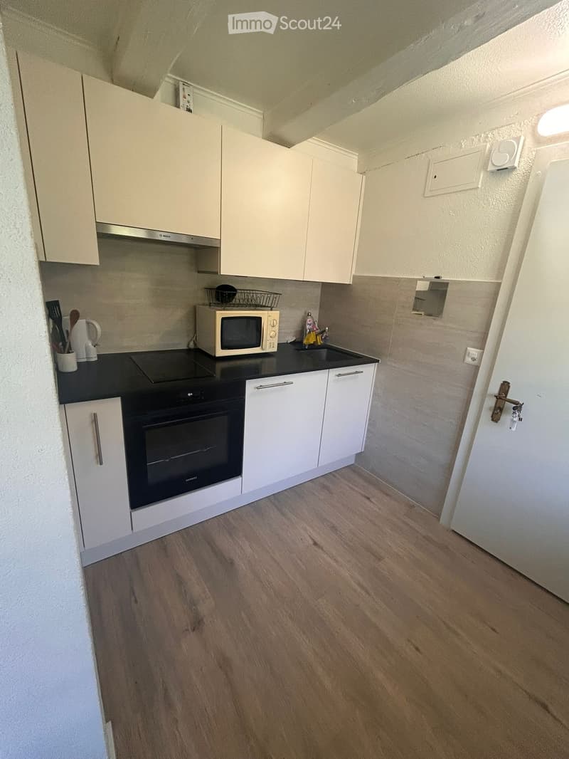Studio luminoso ristrutturato di 19 m², disponibile immediatamente (2)
