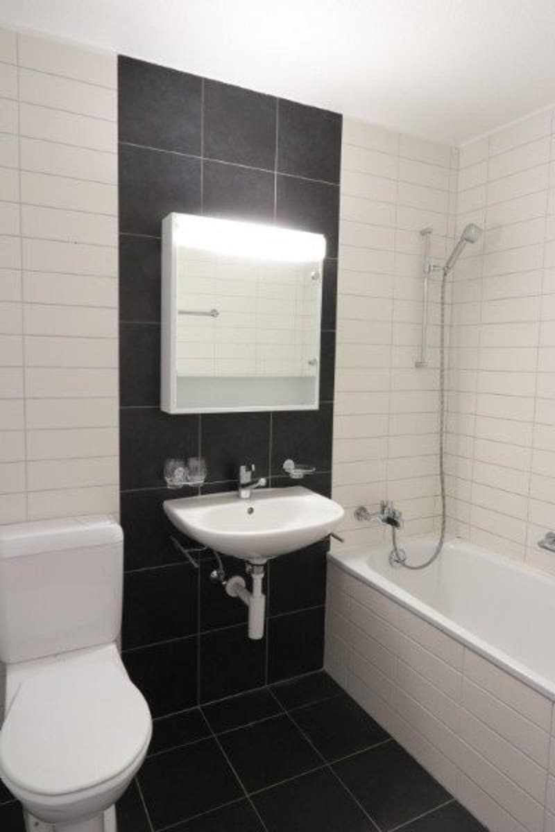 Charming 2.5-room apartment in Emmen (4)