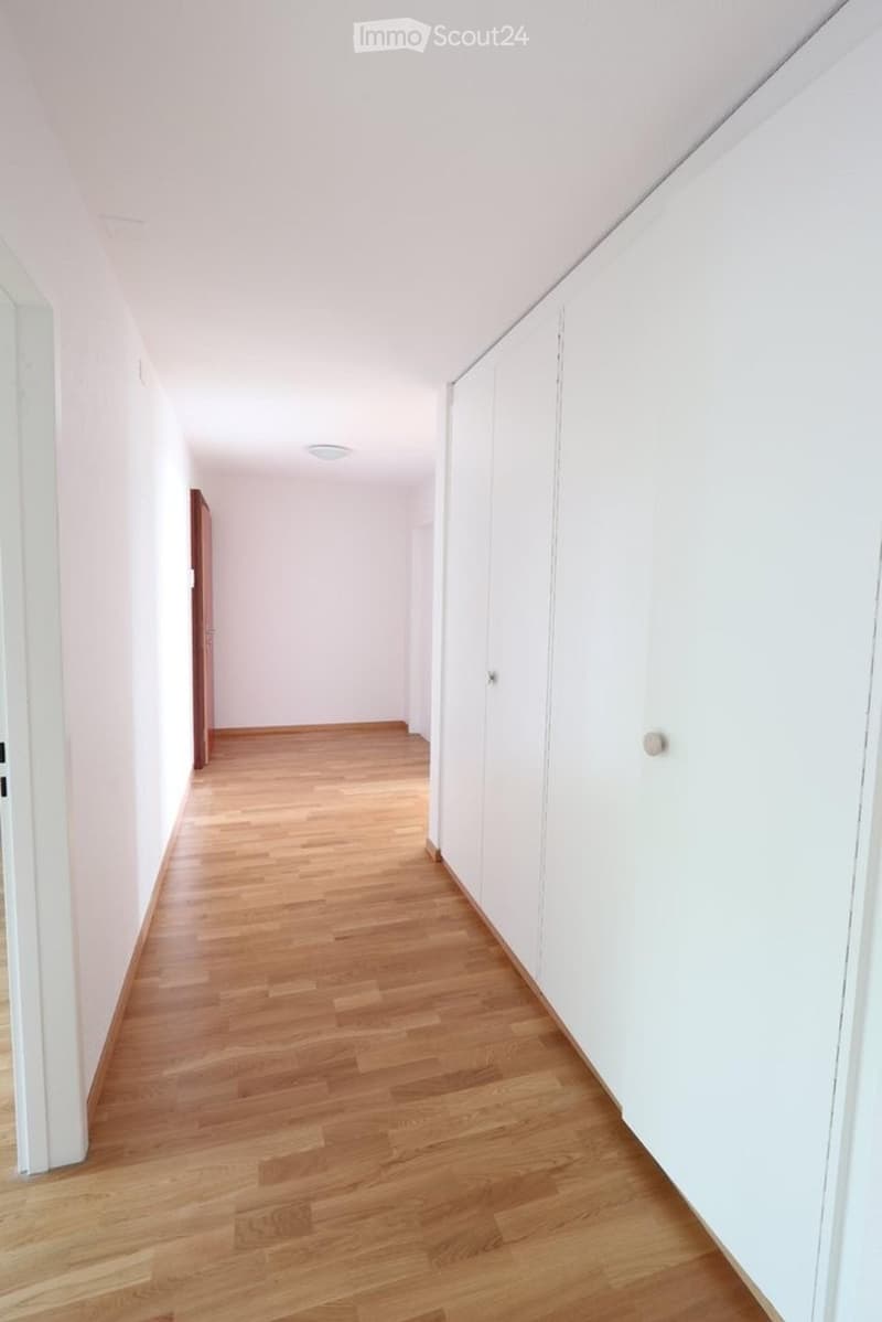 Charming 2.5-room apartment in Emmen (5)