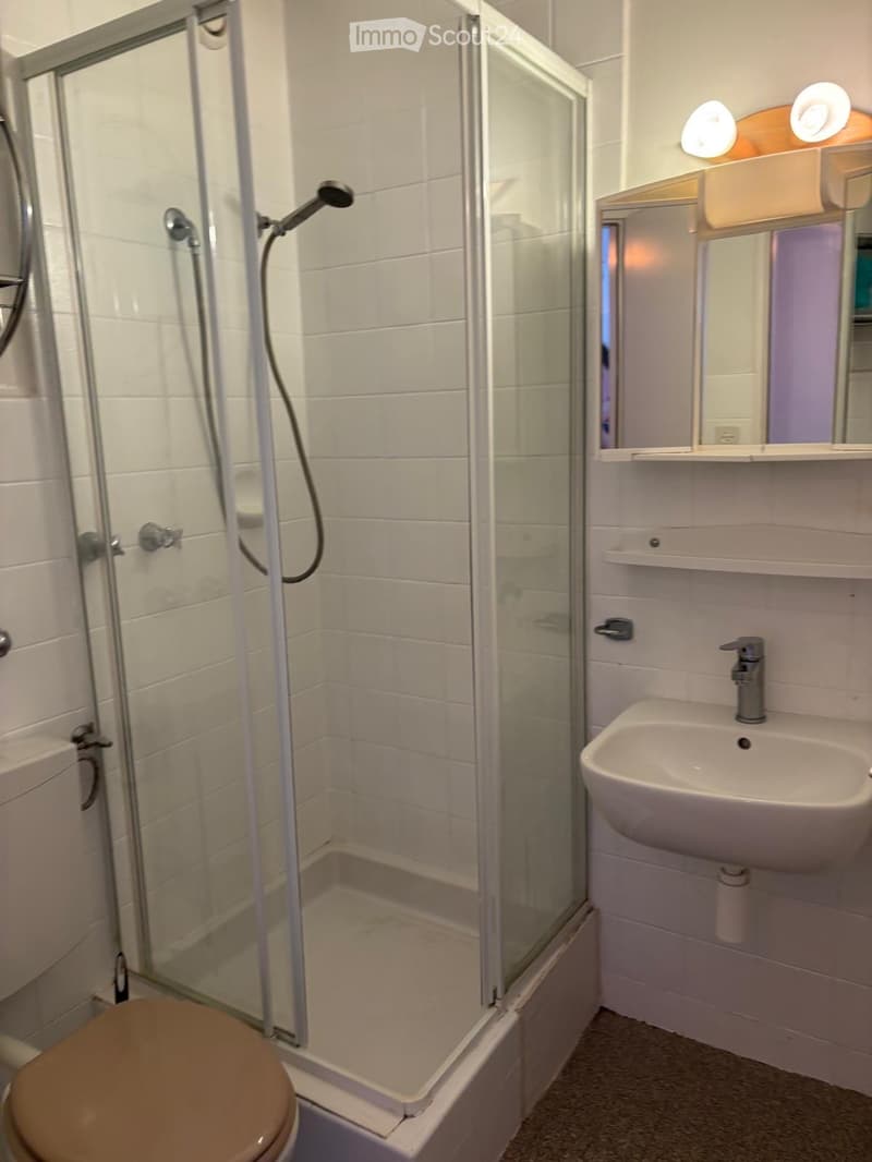 Studio arredato in affitto, disponibile immediatamente a La Chaux-de-Fonds (3)