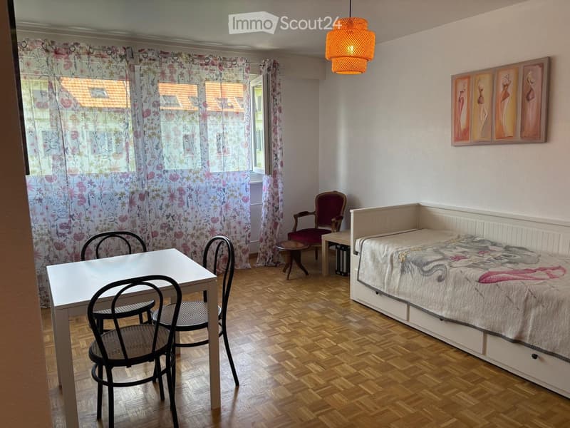 Studio arredato in affitto, disponibile immediatamente a La Chaux-de-Fonds (1)