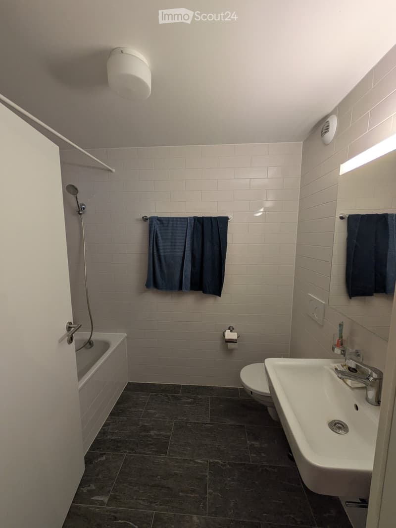 Appartement 2.5 pièces moderne à Lausanne (2)