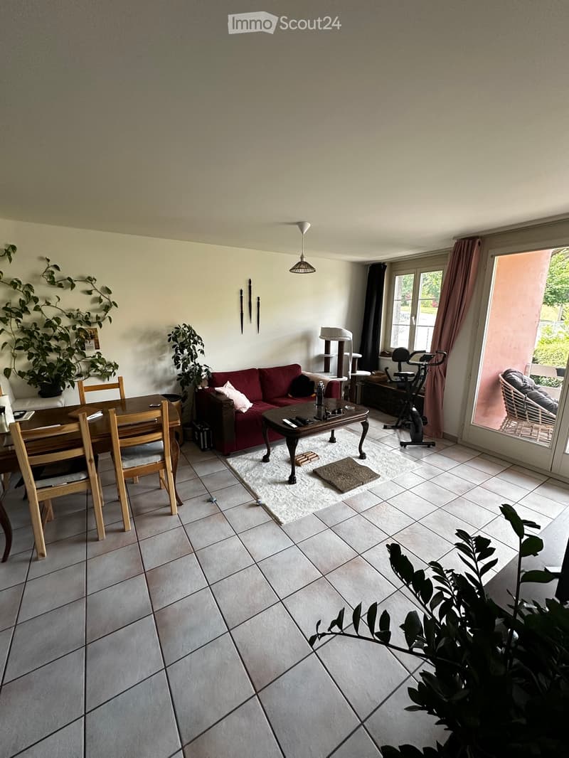 Schönes 3,5-Zimmer-Apartment (2)
