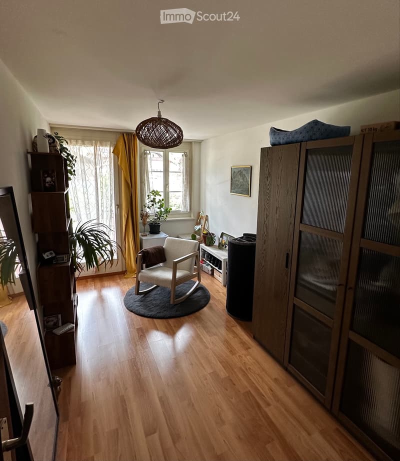 Schönes 3,5-Zimmer-Apartment (3)