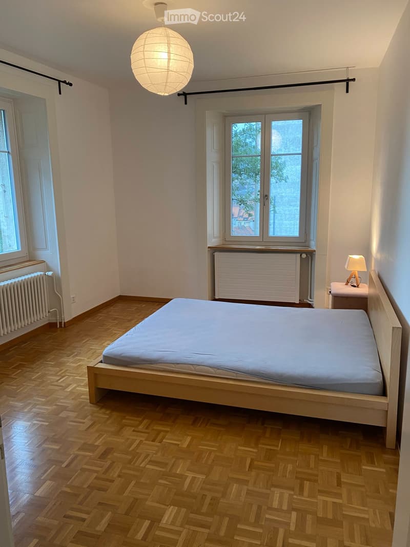 Grande chambre dans coloc de 4 ch./5pers./2 SDB. (5)
