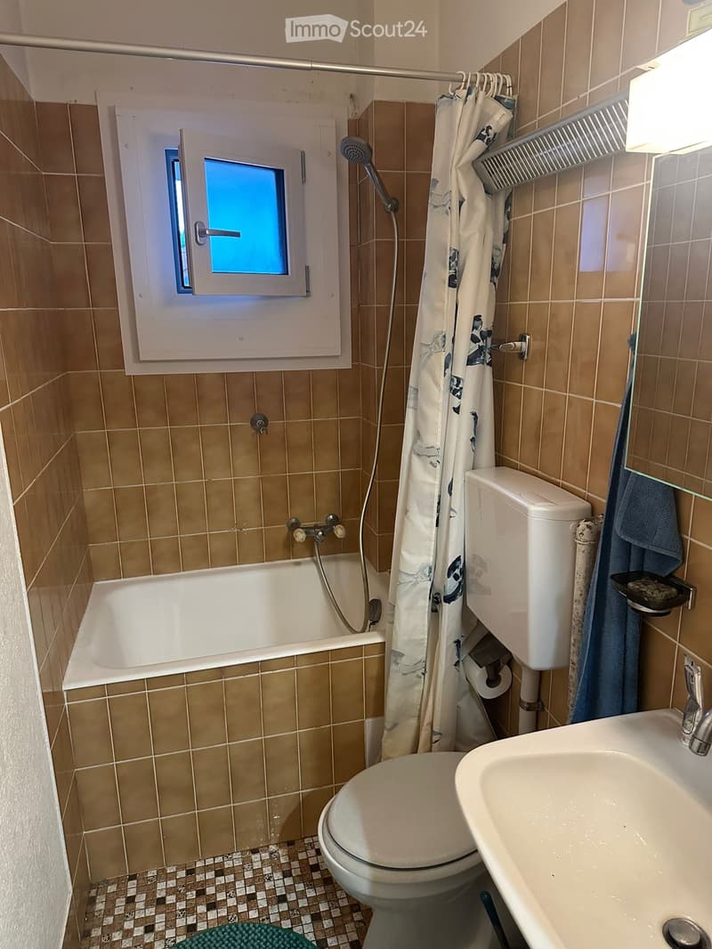 Reprise de bail - Appartement de 4,5 pièces (3)