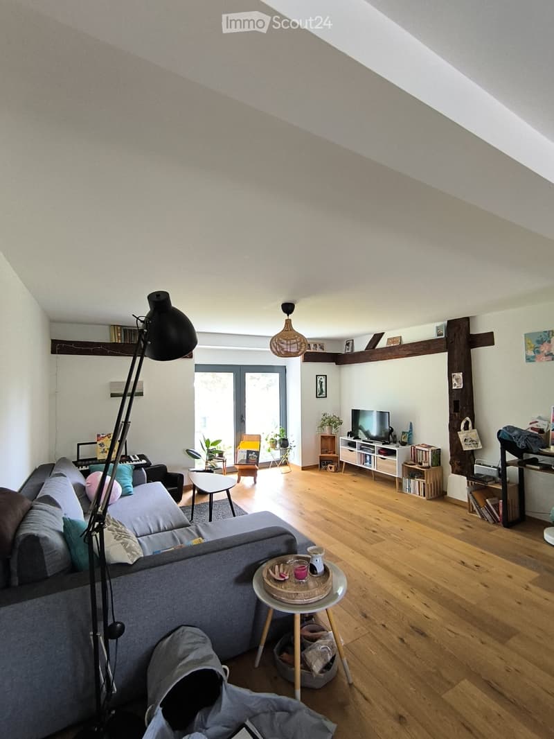 A louer 3,5 PC très charmant (2)