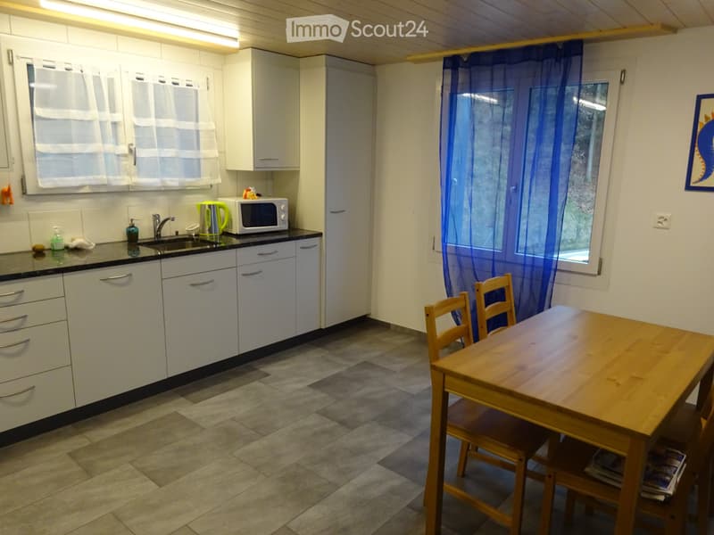 Bel appartement 3.5 pièces à louer (3)