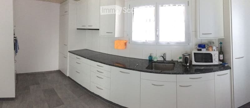Bel appartement 3.5 pièces à louer (1)