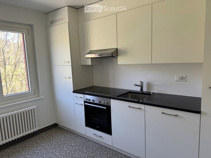 Appartement lumineux de 4 pièces (4)