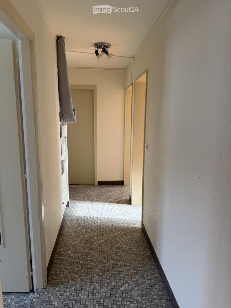 Appartement lumineux de 4 pièces (3)