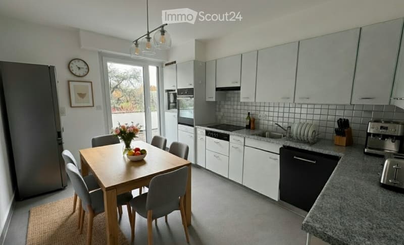 À vendre : Appartement terrasse d'exception à Sion (4)