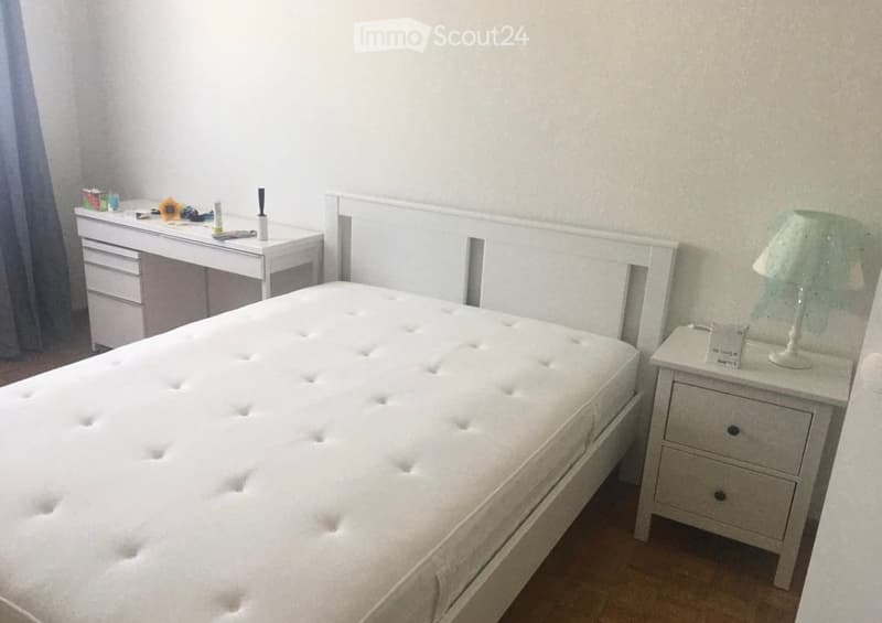Posizione appartamento 3 locali a Grand-Lancy (affitto 1'172.-) (4)