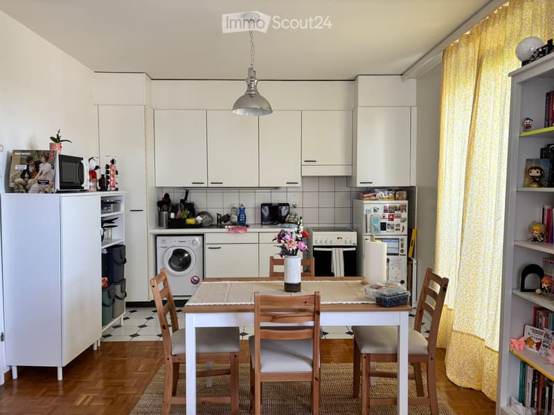 Posizione appartamento 3 locali a Grand-Lancy (affitto 1'172.-) (2)