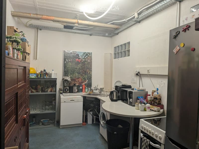 Loft commerciale (3)