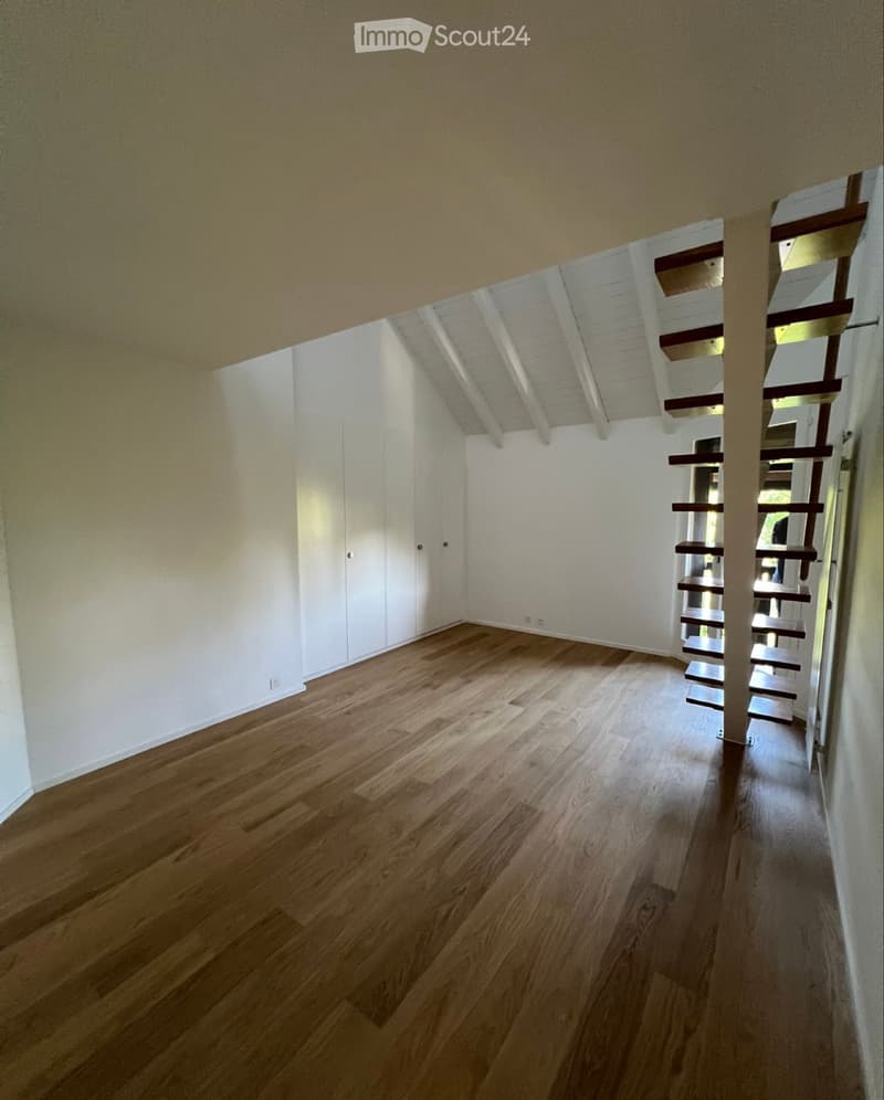 Duplex di 6 locali di 180m2 nella campagna ginevrina (2)