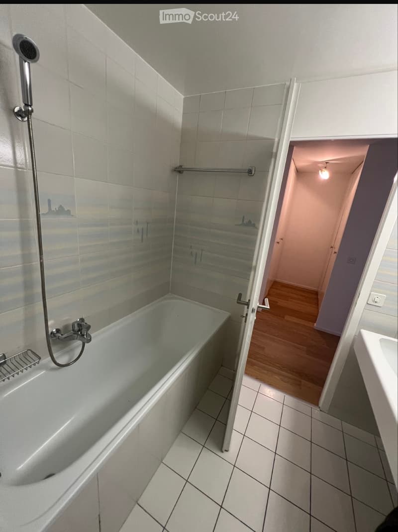 Duplex di 6 locali di 180m2 nella campagna ginevrina (5)