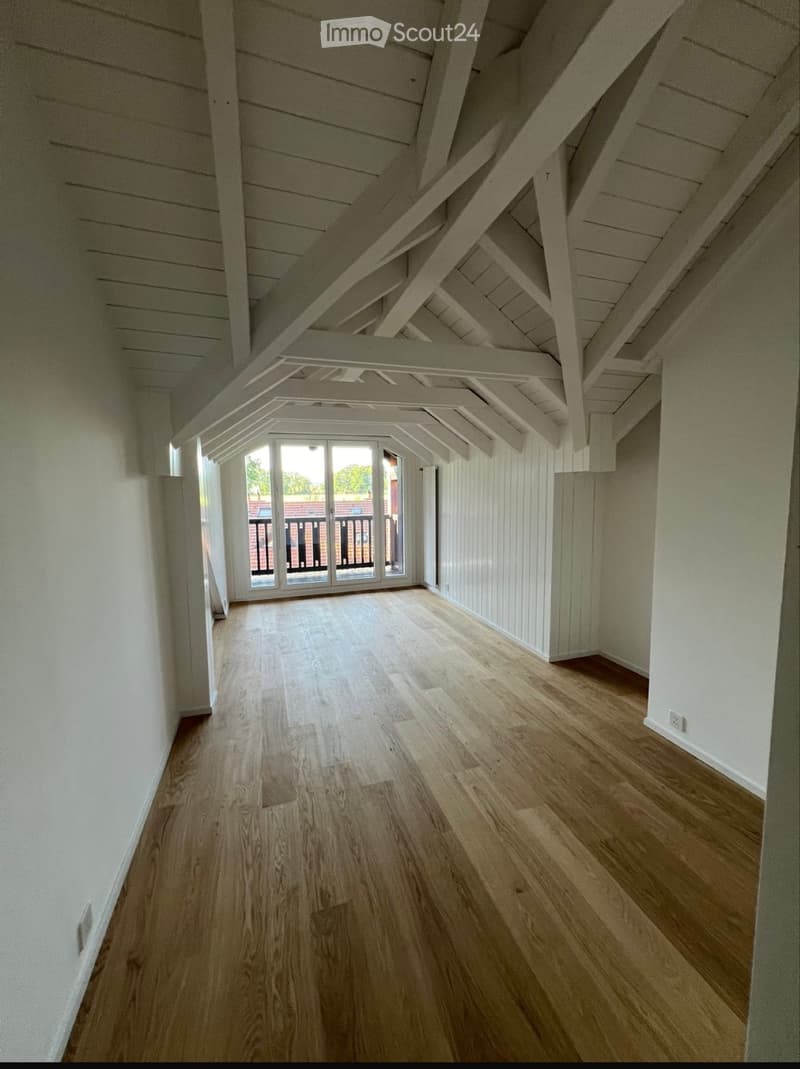 Duplex di 6 locali di 180m2 nella campagna ginevrina (3)