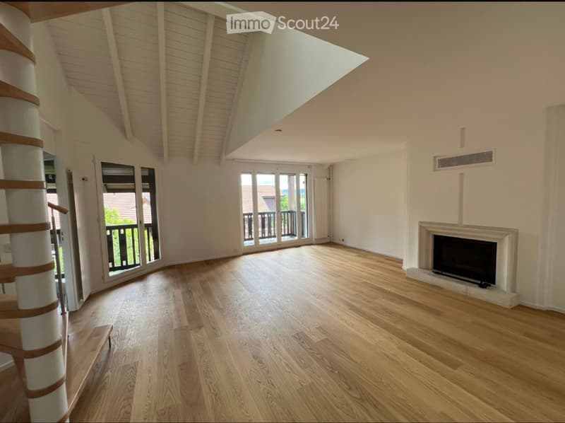 Duplex di 6 locali di 180m2 nella campagna ginevrina (1)