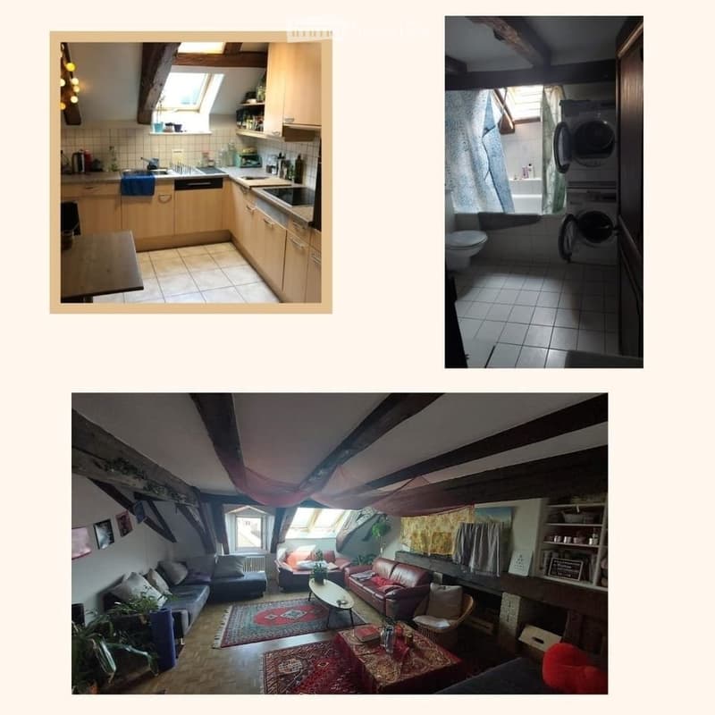 Chambre dans une coloc à 5 (4)