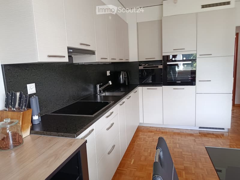 Affittare appartamento 3.5 locali (2)