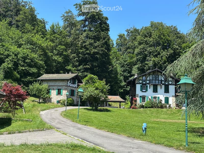 Wohnung 2,5 Zimmer in einer grünen Umgebung. (1)