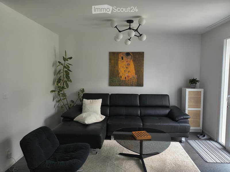 Maison moderne entièrement meublée près du lac (3)