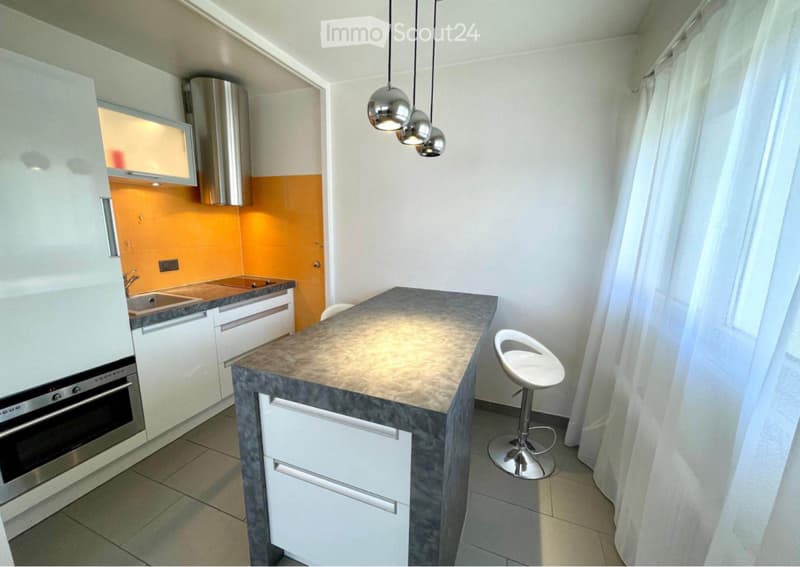 Monolocale completamente arredato situato a Lancy (2)