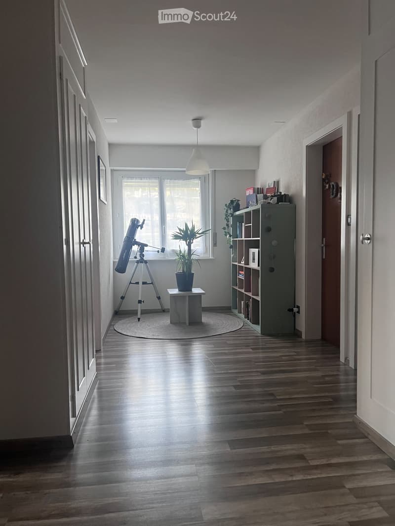 Casa 6,5 in affitto (5)