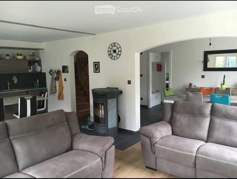 Casa 6,5 in affitto (2)