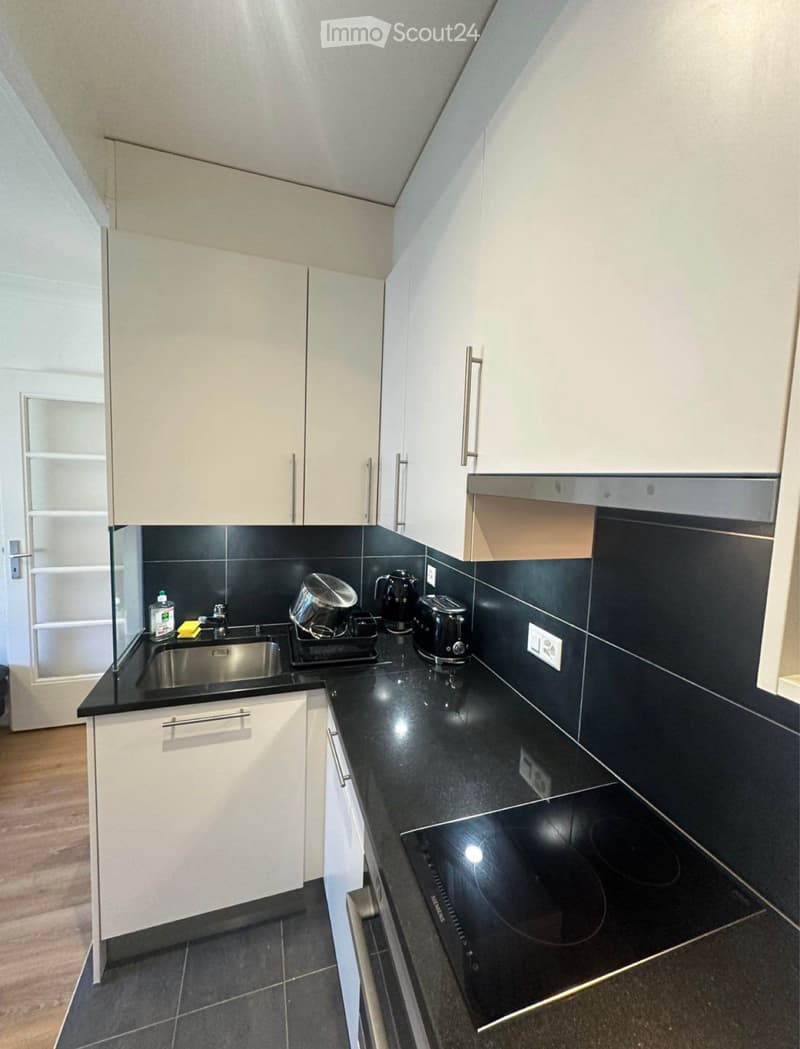 Appartamento 2,5 locali - Saint-Jean (2)