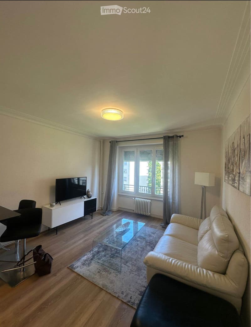 Appartamento 2,5 locali - Saint-Jean (1)