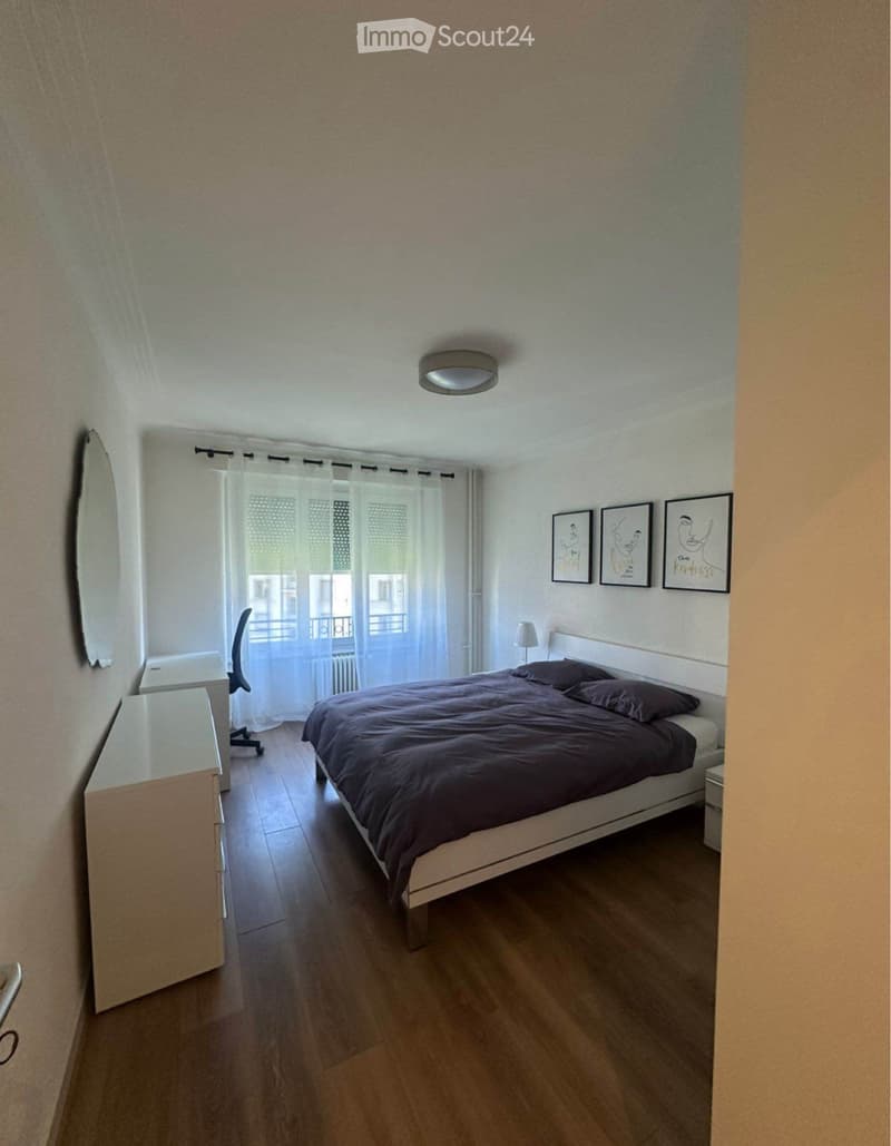 Appartamento 2,5 locali - Saint-Jean (3)