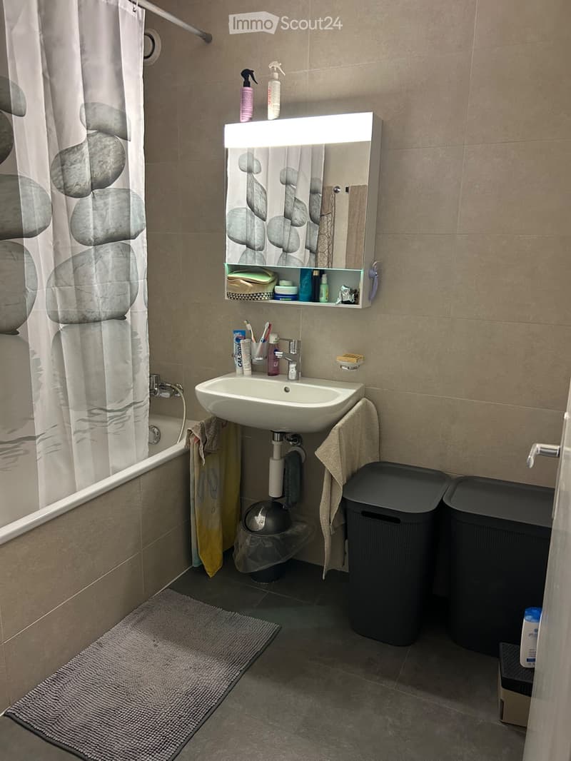 Ampio appartamento di 4.5 locali con 101 m² e vista sul lago (3)