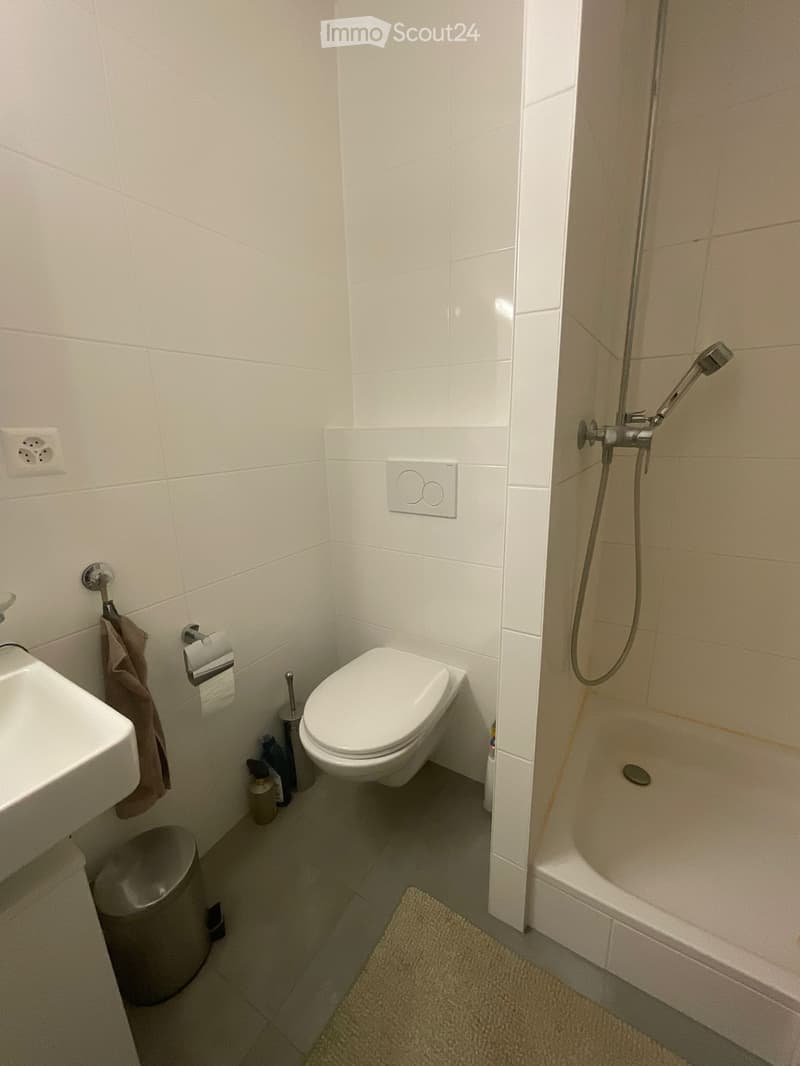 Monolocale 1,5 locali 34m2 in affitto il prima possibile (5)