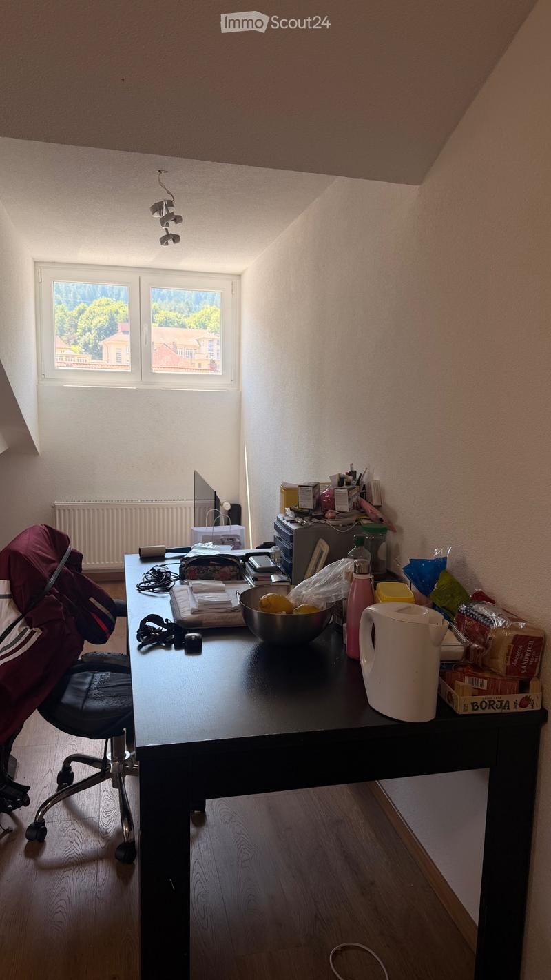 Monolocale 1,5 locali (2)