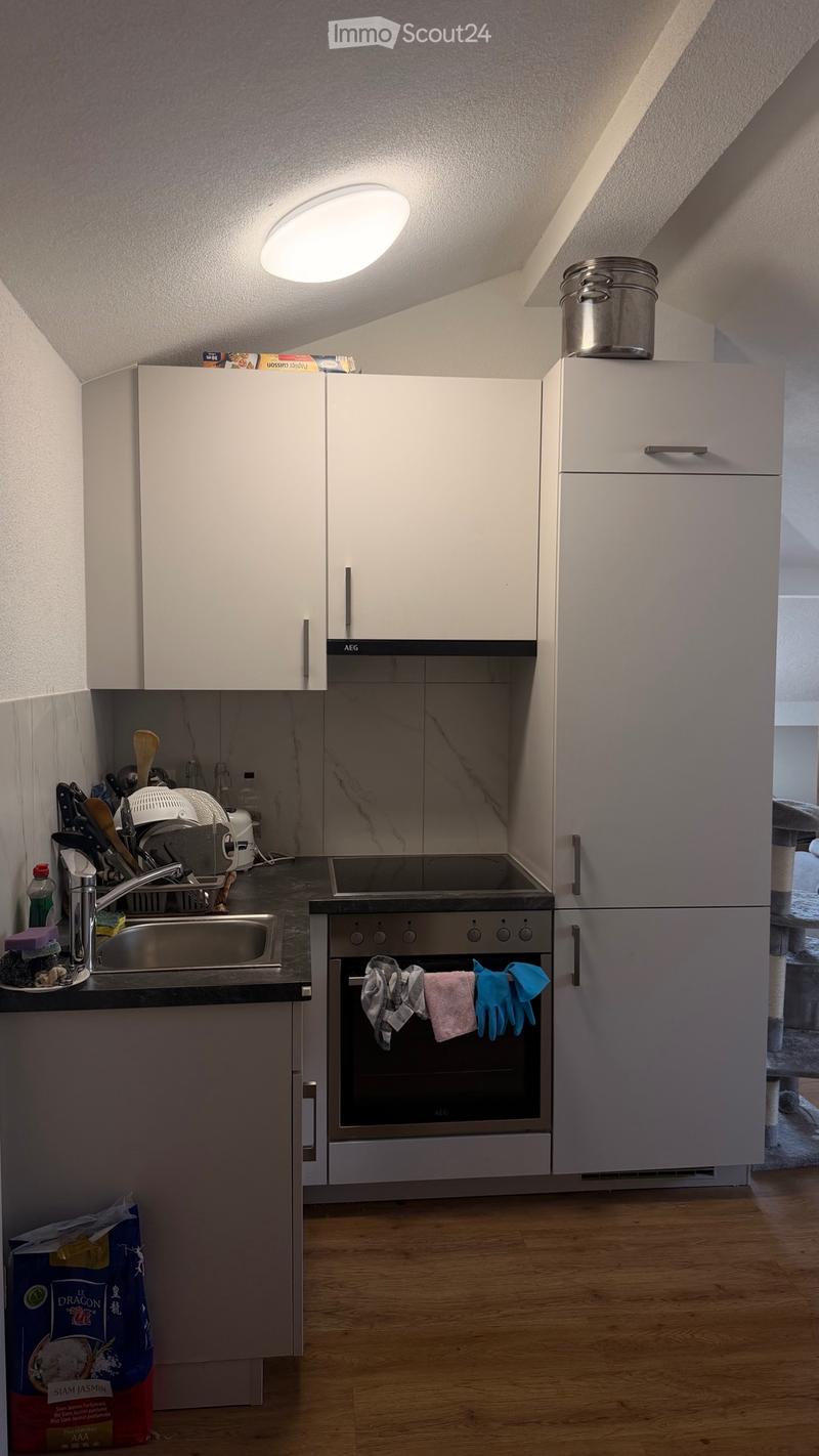 Monolocale 1,5 locali (1)
