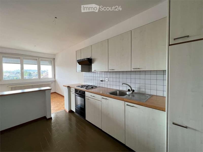 Charmant appartement de 2.5 pièces à Fribourg (4)