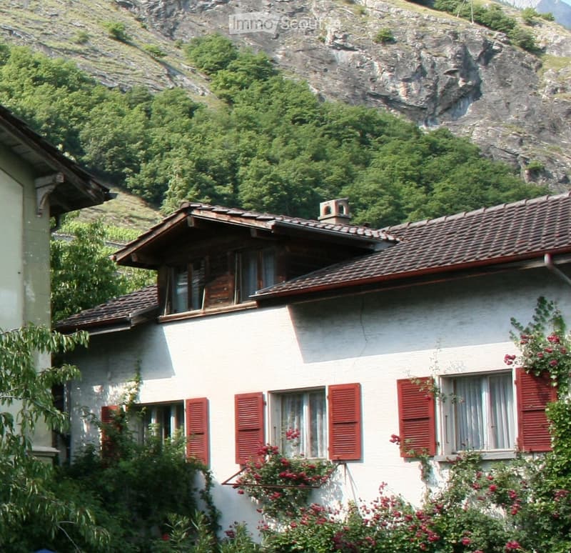 Appartement d'architecte à louer (1)